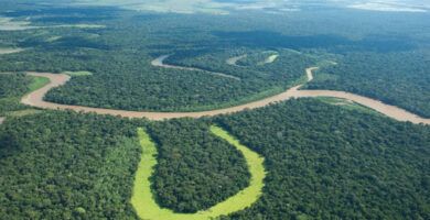 cuenca amazonica